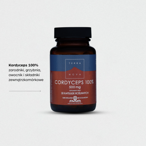 Cordyceps 100% 500 mg, suplement diety na odporność, PROMOCJA
