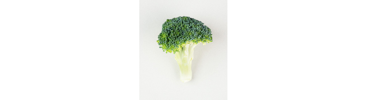 Brokuł - suplementy diety zawierające Brokuł | Terranova