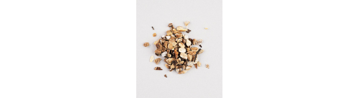 Rhodiola (korzeń) - suplementy diety zawierające Rhodiola (korzeń) | Terranova